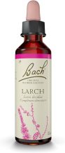 Larch